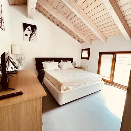 Nema Loft *