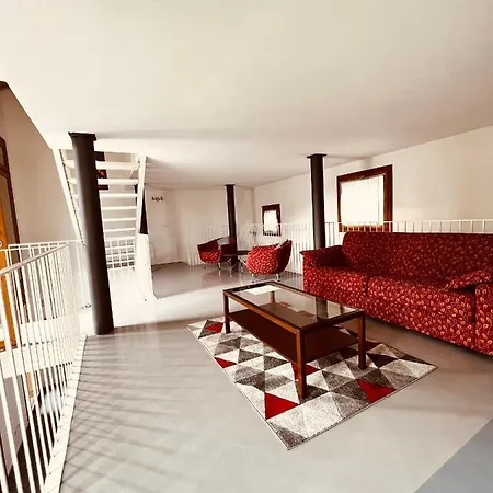 Nema Loft 알바