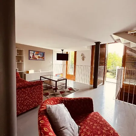Nema Loft 알바
